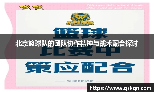 北京篮球队的团队协作精神与战术配合探讨